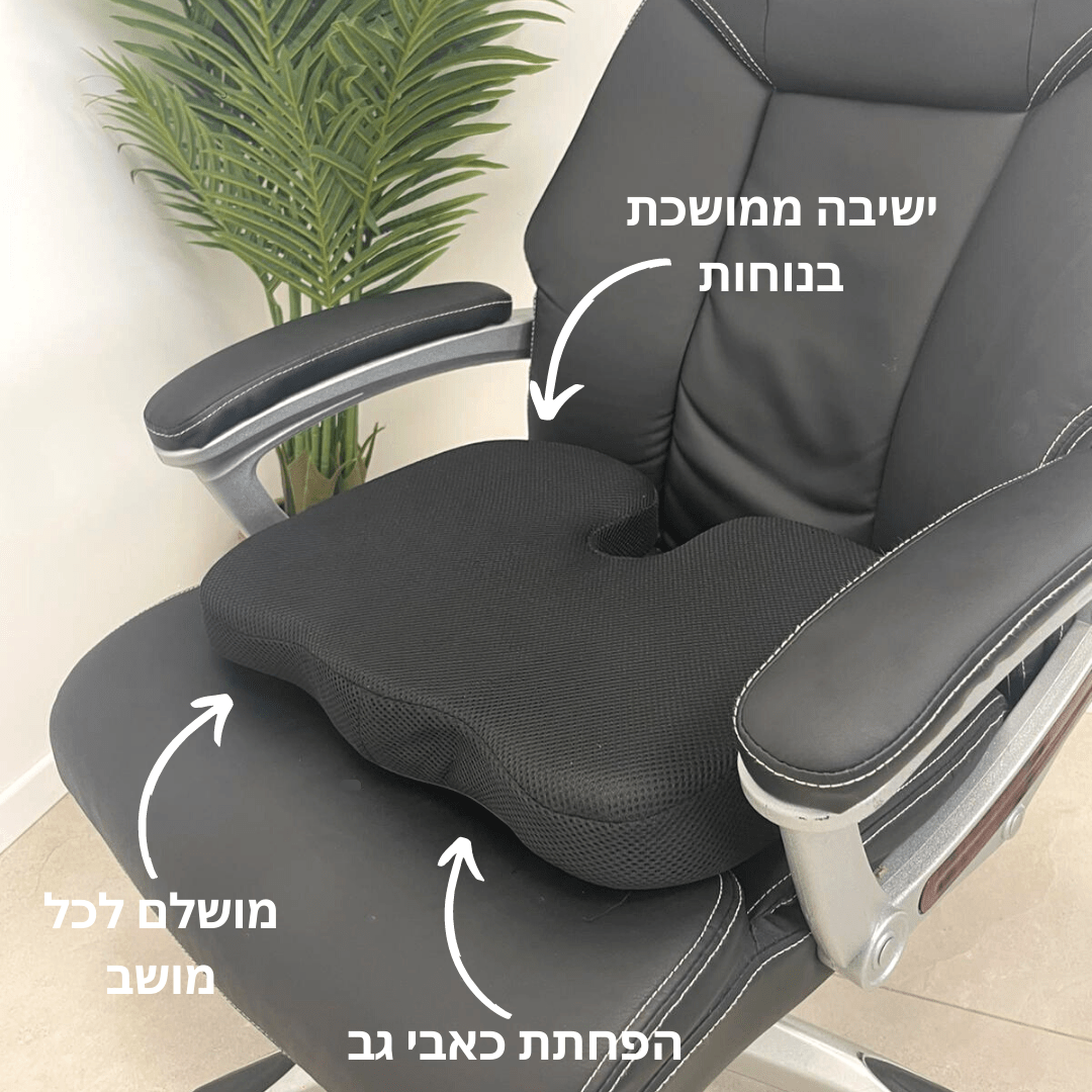 כרית אורתופדית לישיבה נוחה ובריאה לעמוד השדרה | מבית פומי ספורט - Pomy Sport