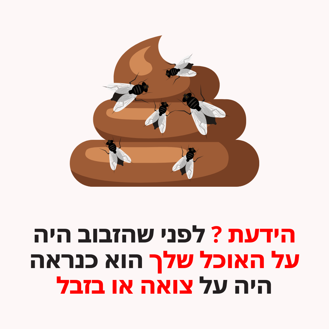 מרחיק זבובים ויתושים | מוצר חדשני מבית פומי ספורט