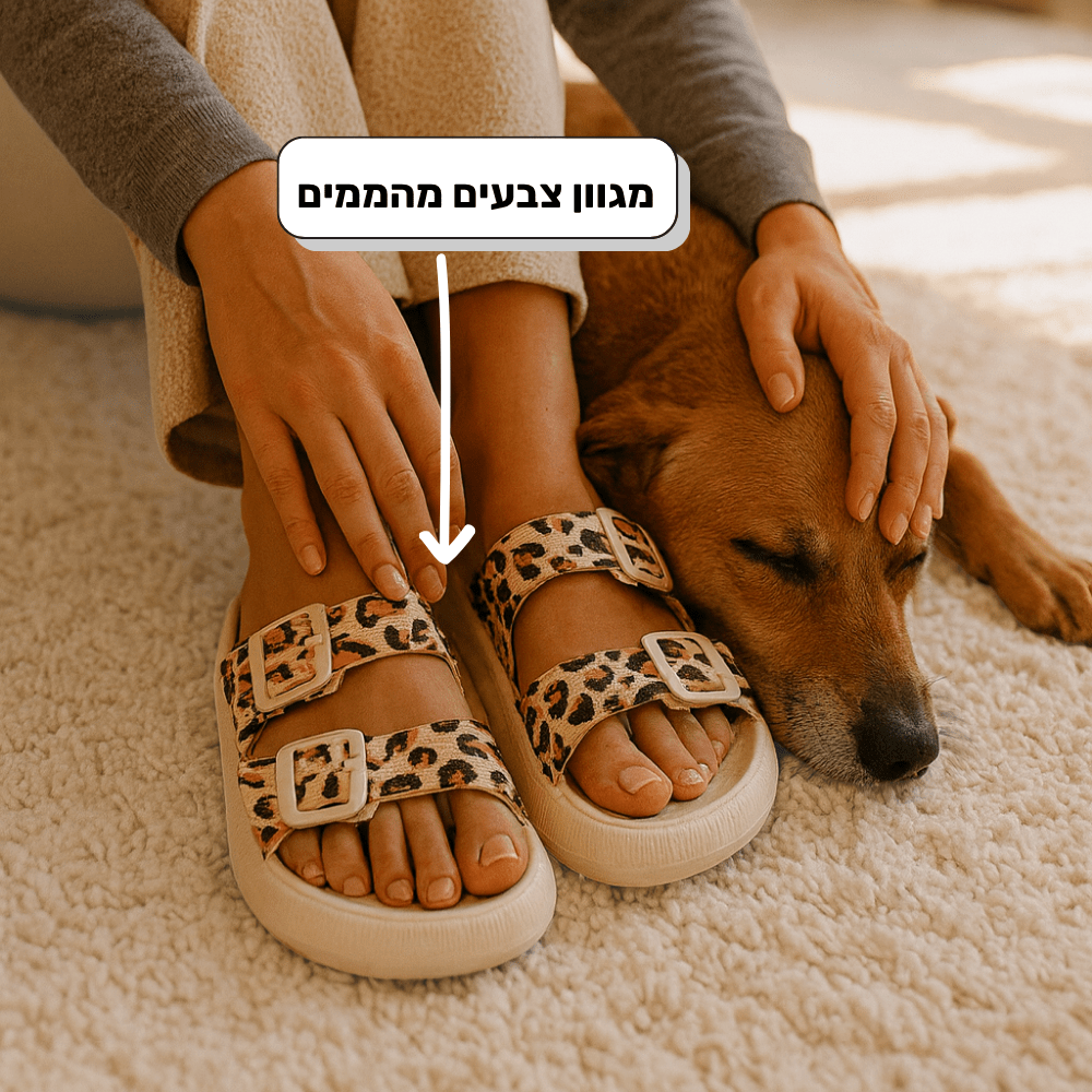 כפכפי קומפי - נוחות לכל עונה - Pomy Sport