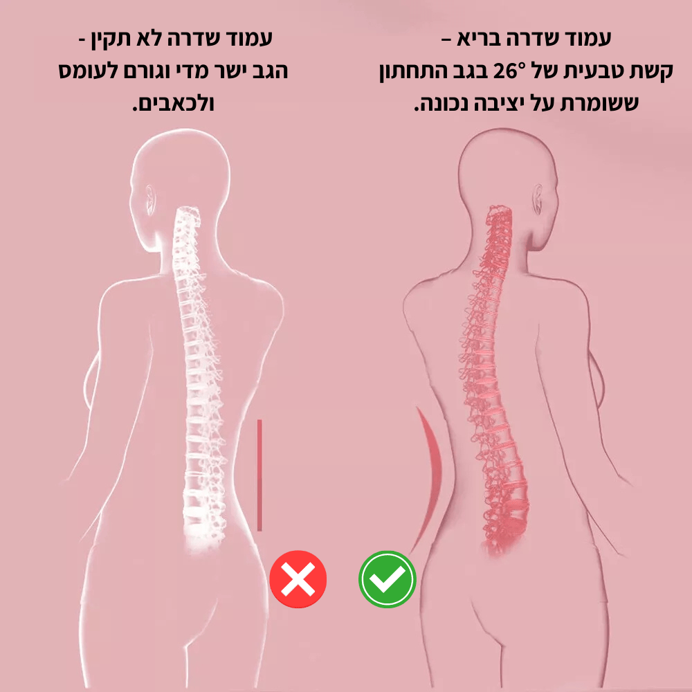 כרית מתיחה לגב ולצוואר FRESH | הקלה מיידית לכאבי סיאטיקה, גב תחתון וצוואר - Pomy Sport