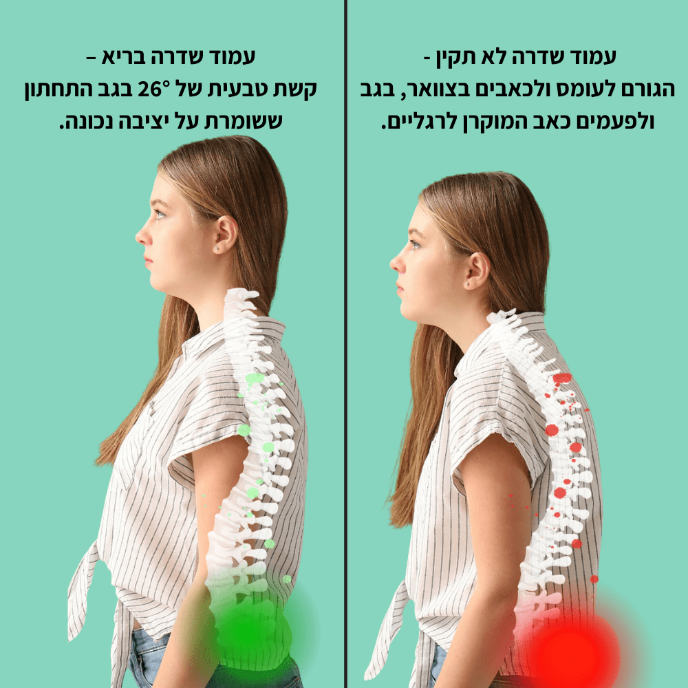 כרית מתיחה לגב ולצוואר FRESH | הקלה מיידית לכאבי סיאטיקה, גב תחתון וצוואר - Pomy Sport