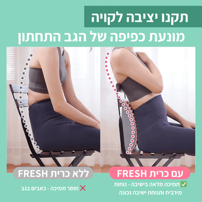 כרית מתיחה לגב ולצוואר FRESH | הקלה מיידית לכאבי סיאטיקה, גב תחתון וצוואר - Pomy Sport