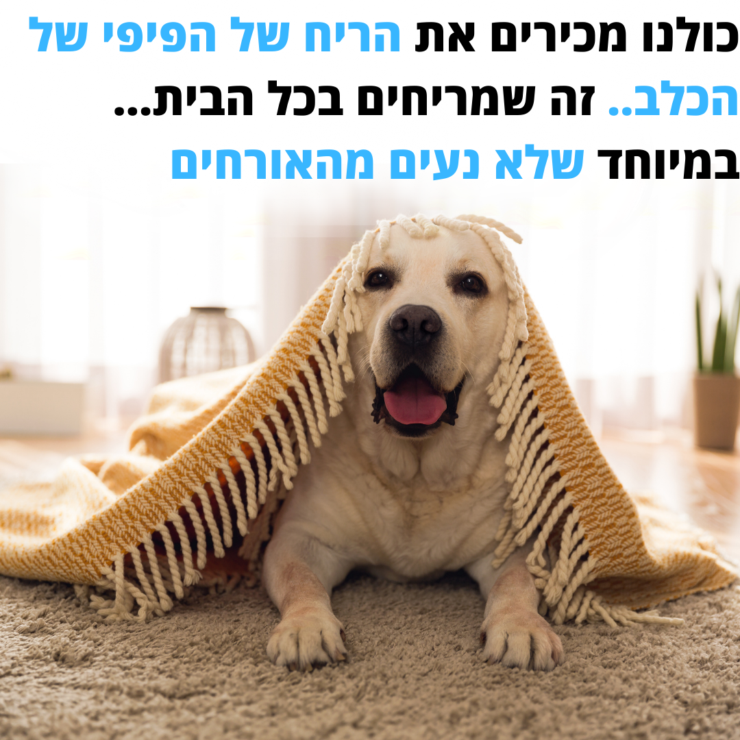 מטהר אוויר לחיות מחמד | נגד ריח פיפי, שיער ואלרגיות | SALE